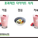 허벌라이프 리아코치