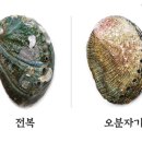 우리전복
