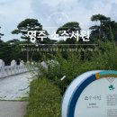 영주 안향 향려비 | 영주 소수서원 포토존 입장료 맛집 가볼만한곳 소수박물관