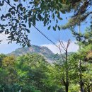 청운문학도서관 | [종로] 초소책방, 청운문학도서관 다녀온 후기 😁