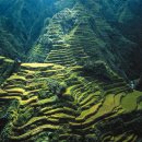 리틀사이공 이미지