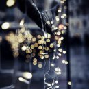 바다랑육지랑 이미지