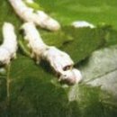 생활한자 이미지