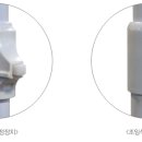 왕자볼트 이미지