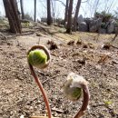 강원도립화목원 이미지