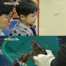 가재야 이미지