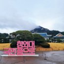 청와대 소개 및 방문 신청 방법, 방문 후기