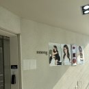 오거리76 | [어몽헤어 강남점] 애쉬카키브라운 염색 &amp; 앞머리 매직 후기 | 붉은기 없는 염색