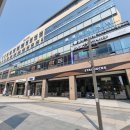 아브뉴프랑 옐로우 이미지