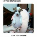 나주식육식당