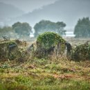 여수복집 이미지