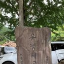 대원사 계곡카페