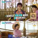 명화축사 이미지