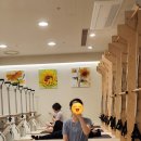 세린투비