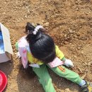 장천초 병설유치원 이미지