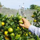 김종우 농장 이미지