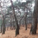 찬영축산 티스토리