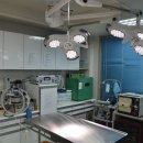 24시 건국 본 동물병원 이미지