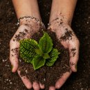 세종예술고등학교 | 청주예술고등학교 친환경 수업 프로그램｜고체 샴푸바로 배우는 환경교육·청소년 진로체험 출강후기