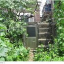 강현약국 이미지