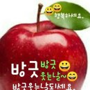 희주님 방글이에요 이미지