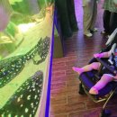 아쿠아플라넷 여수 | 여수 아쿠아플라넷 후기 13개월 아기랑 다녀온 솔직후기(주차 꿀팁)