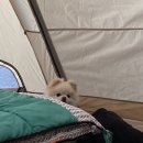 산들바다관광농원 이미지