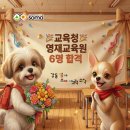 강동암사소마사고력학원