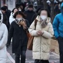 놀숲 압구정역점