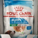 몽쁘띠끄 이미지