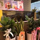 파리바게뜨(범일점) 이미지