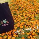 담이네찐빵만두 이미지
