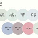 양이양이 이미지