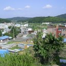 홍성구항한우