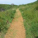 남생이못 이미지