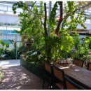 용바우농촌체험휴양마을 이미지