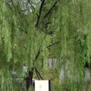 은주네 펜션 | 하도문속초 : 속초 대포항 근처 사진찍기 좋은 카페 + 주차, 내새끼의연애 촬영지