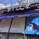 텐시퍼피 이미지