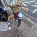 주시카페 앞 횡단보도 | 001 제목없음