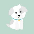 🐶 강아지 스마트 목줄 사용기 – GPS 추적부터 건강관리까지!