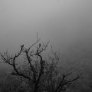 딸부잣집 이미지