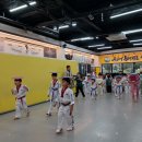 홍천체육관태권도장 네이버블로그