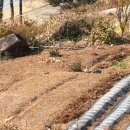 라온피네 | 여수 오션뷰 카페 추천 라온피네 테라스에서 바다 감상