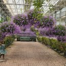 더예쁜헤어샵 이미지