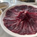 참조은 고기 이미지