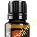 진성세탁 이미지