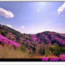 만석초등학교 이미지