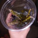 (주)신기양행 이미지