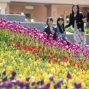 럭키게임장 이미지