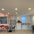 피터펫 애견카페 부산북구점 이미지